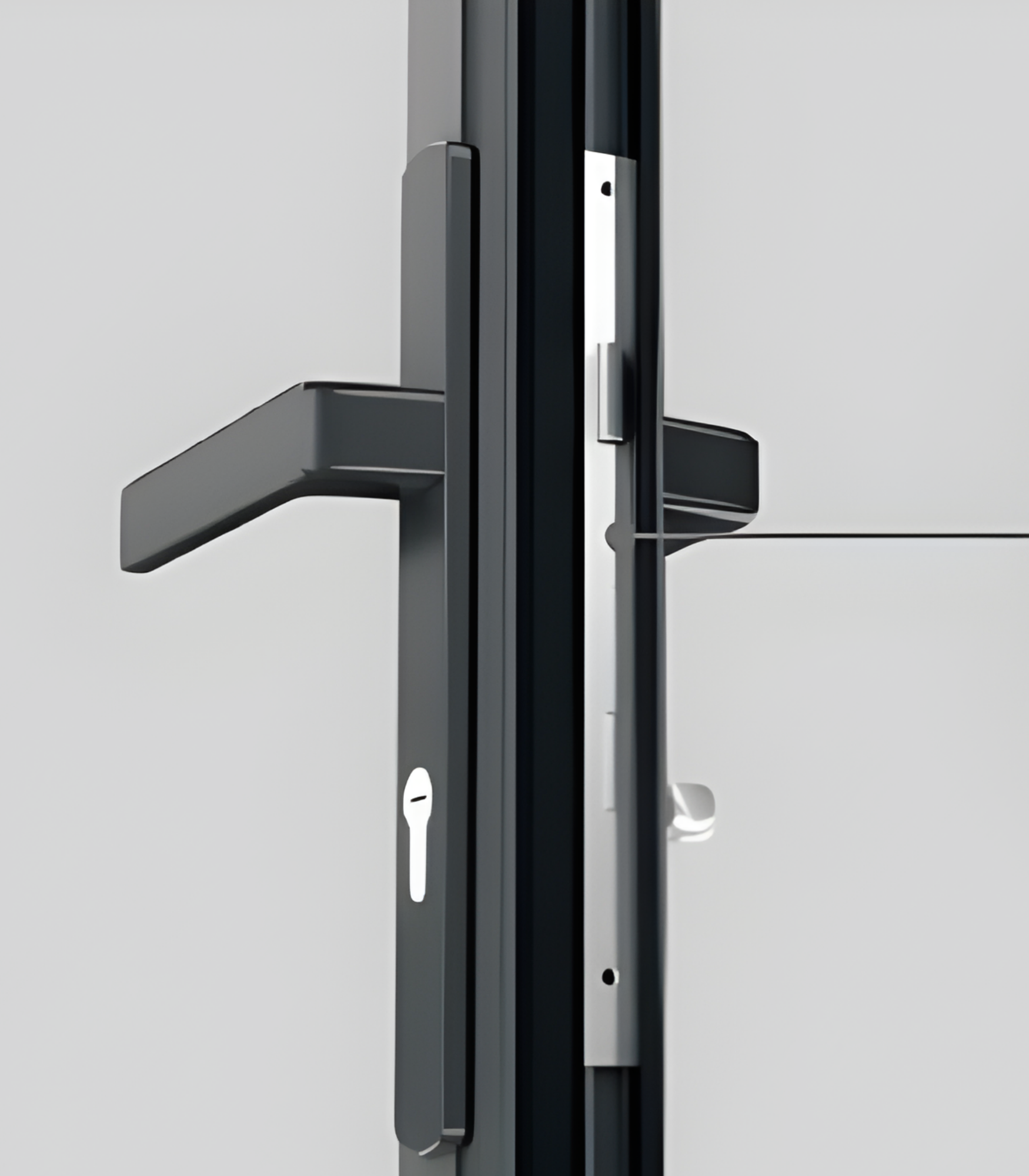 VLX 100 Swing / Entry Door in Greenacres, FL | TruePane Windows & Doors - detail 5